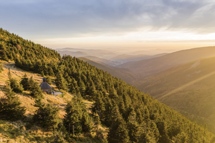 Na Vřesovou studánku z Červenohorského sedla
